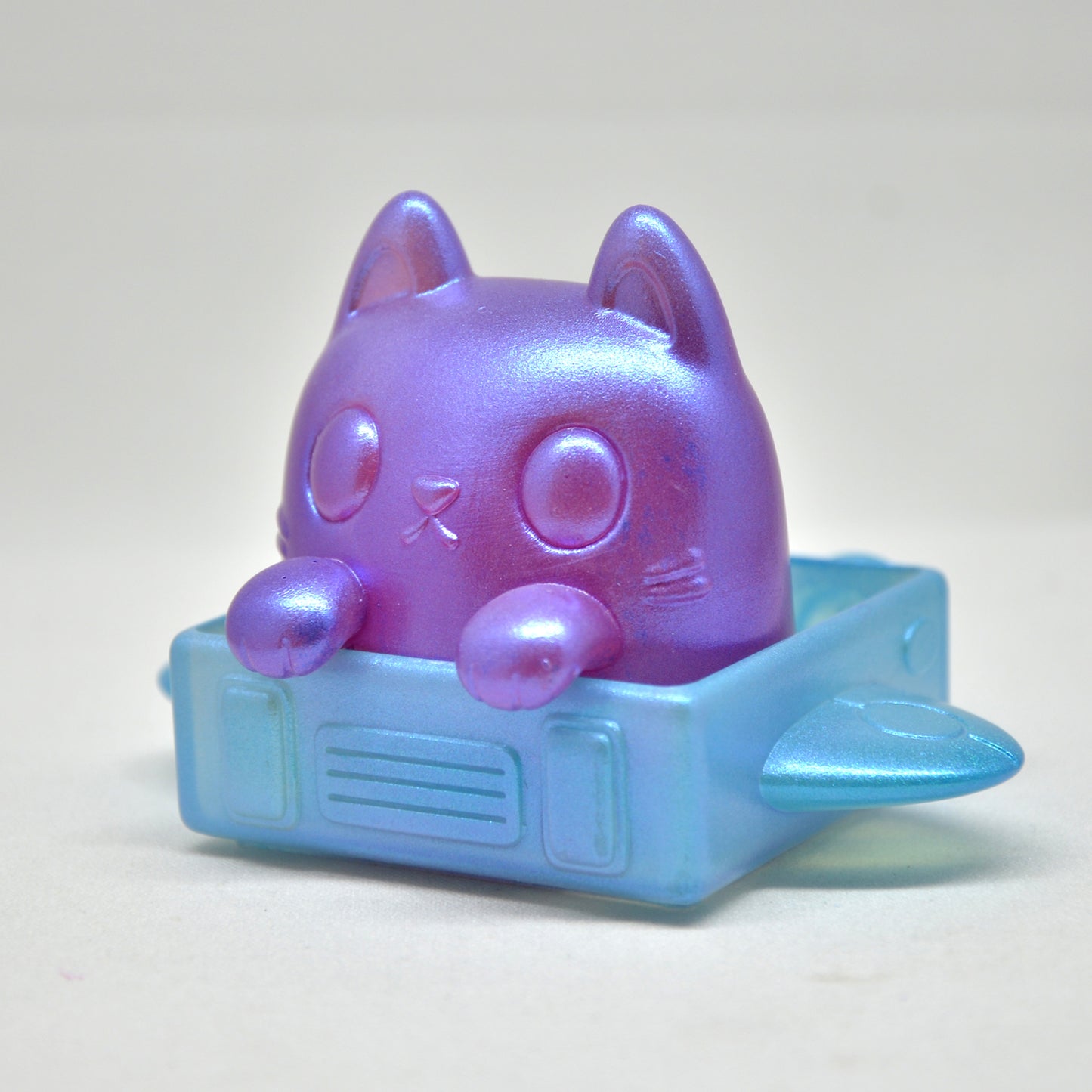 Box Cat - Colors