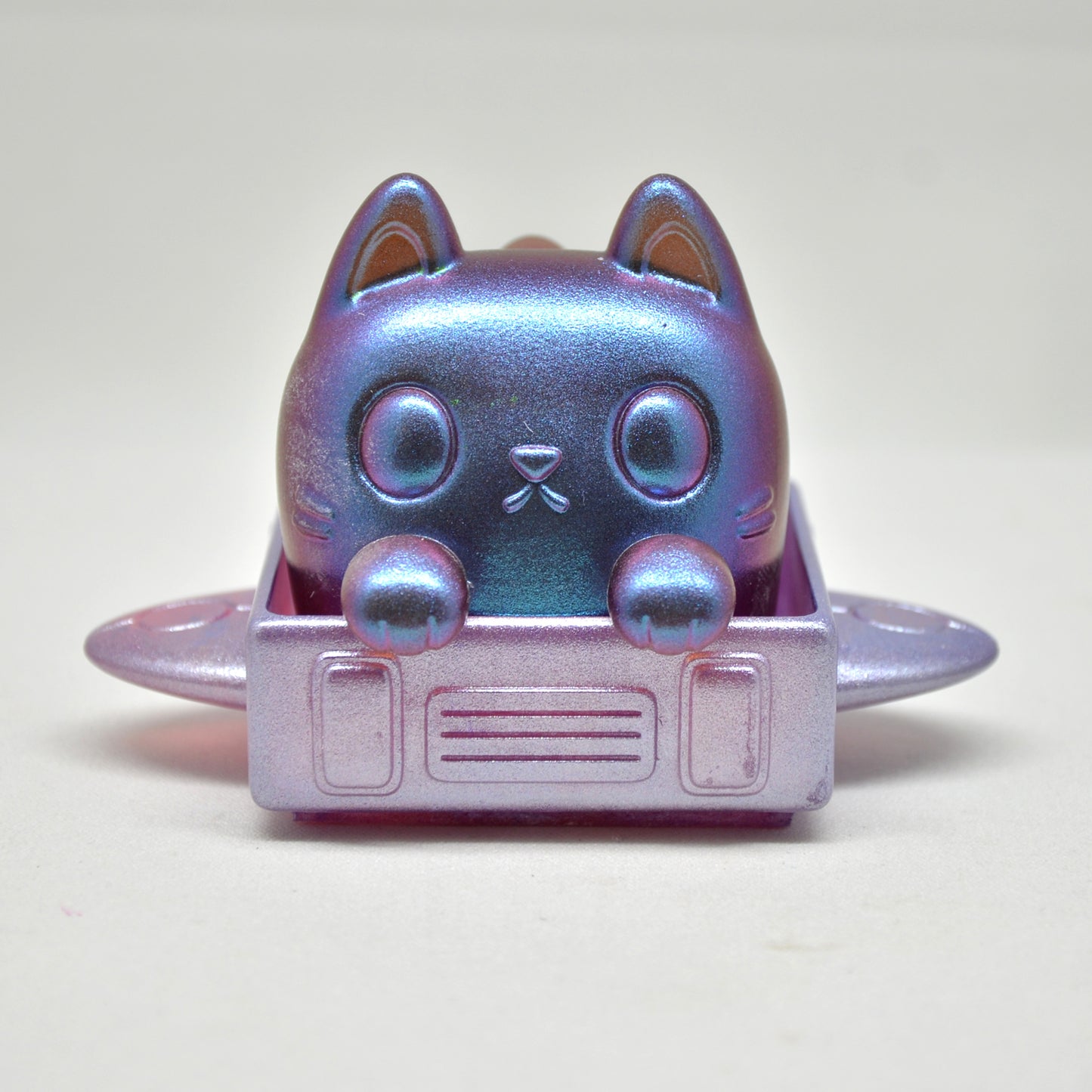 Box Cat - Colors