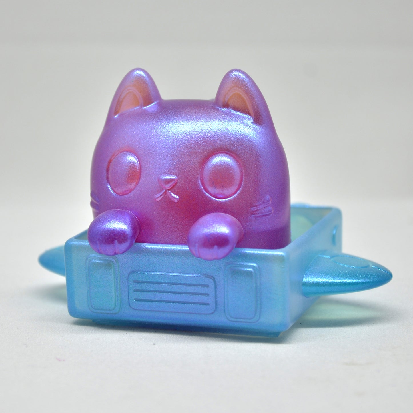Box Cat - Colors