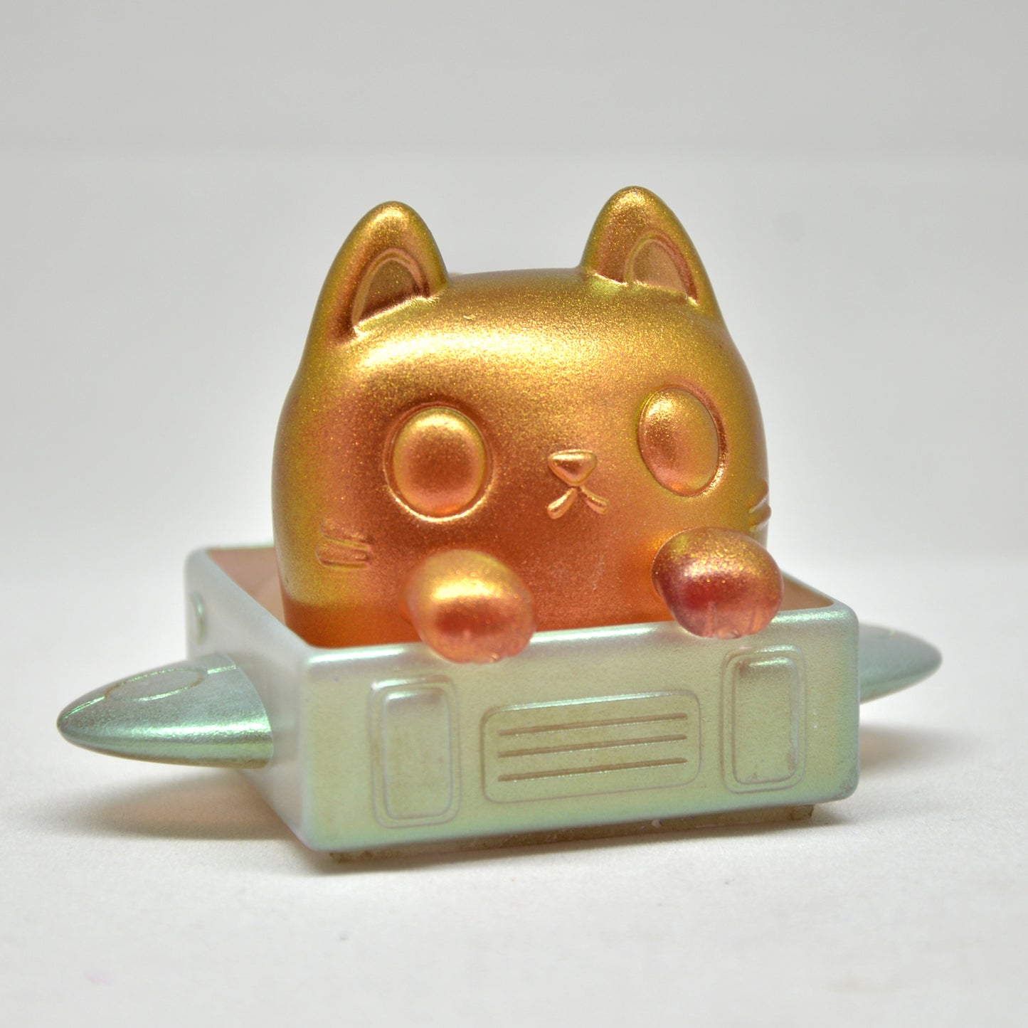 Box Cat - Colors