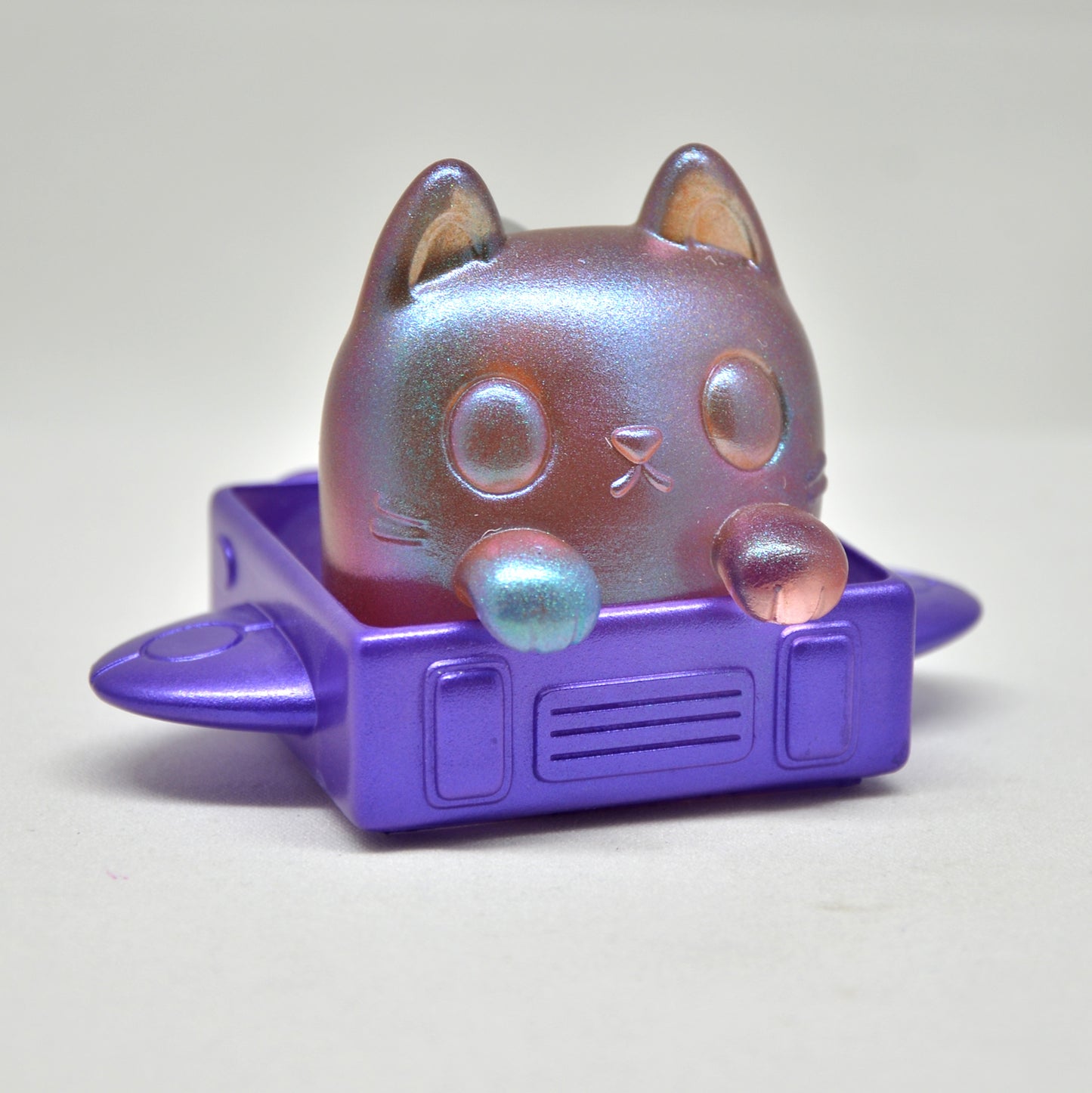 Box Cat - Colors