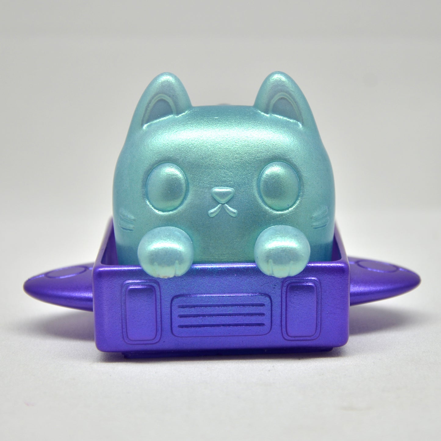 Box Cat - Colors