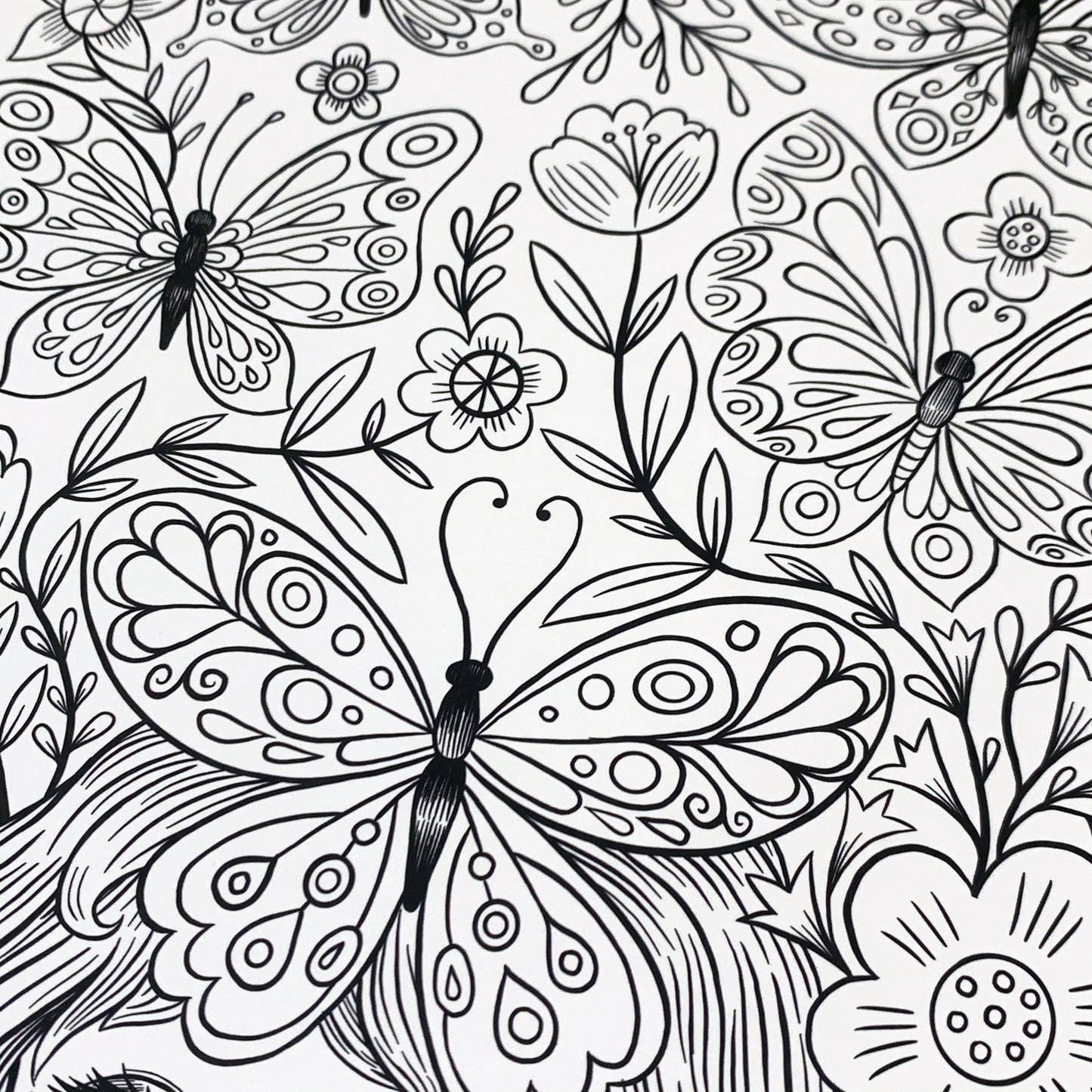 Butterfly Collector - Coloring page - Instant Download