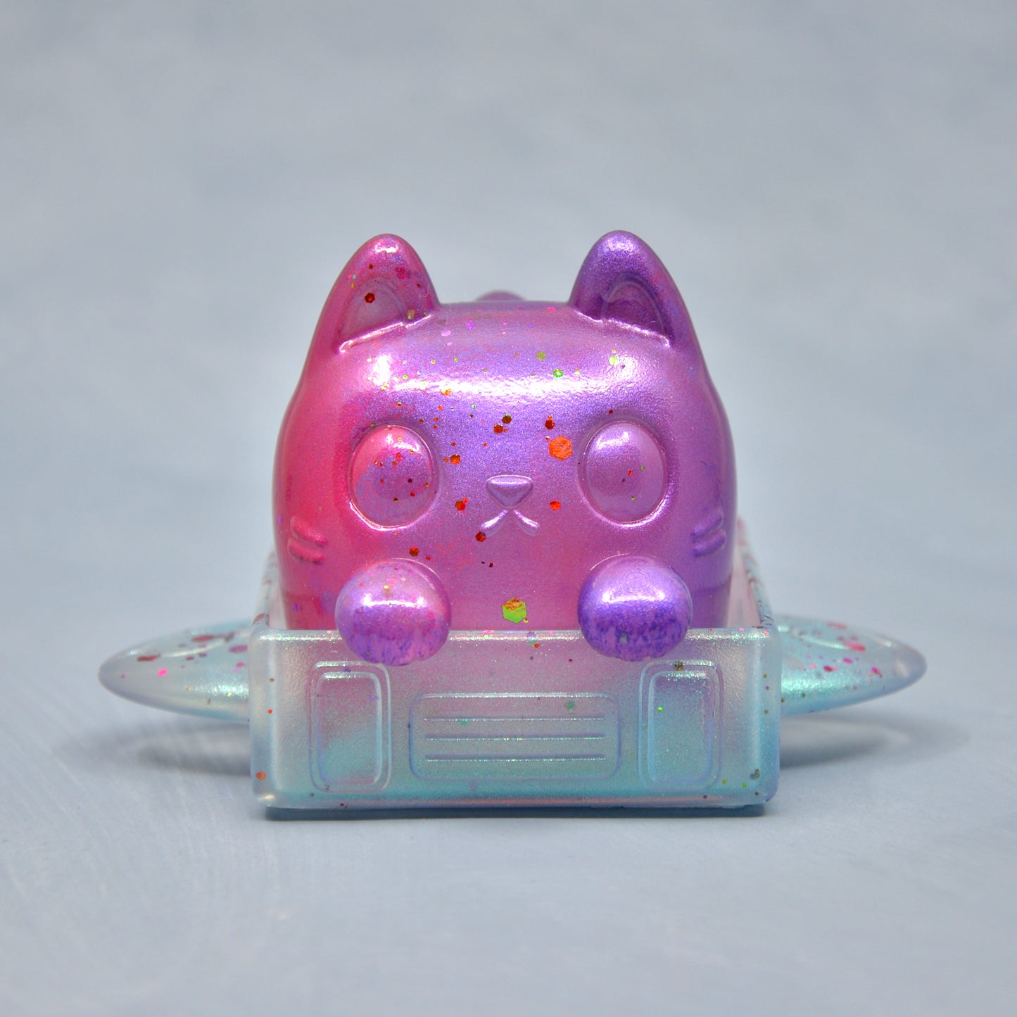 Box Cat - Sparkle
