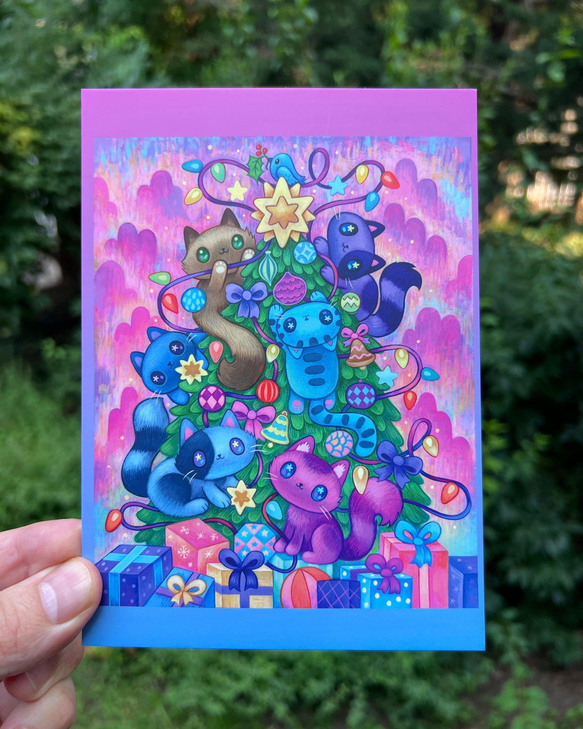 Premium Postcard Set of 10 Cards