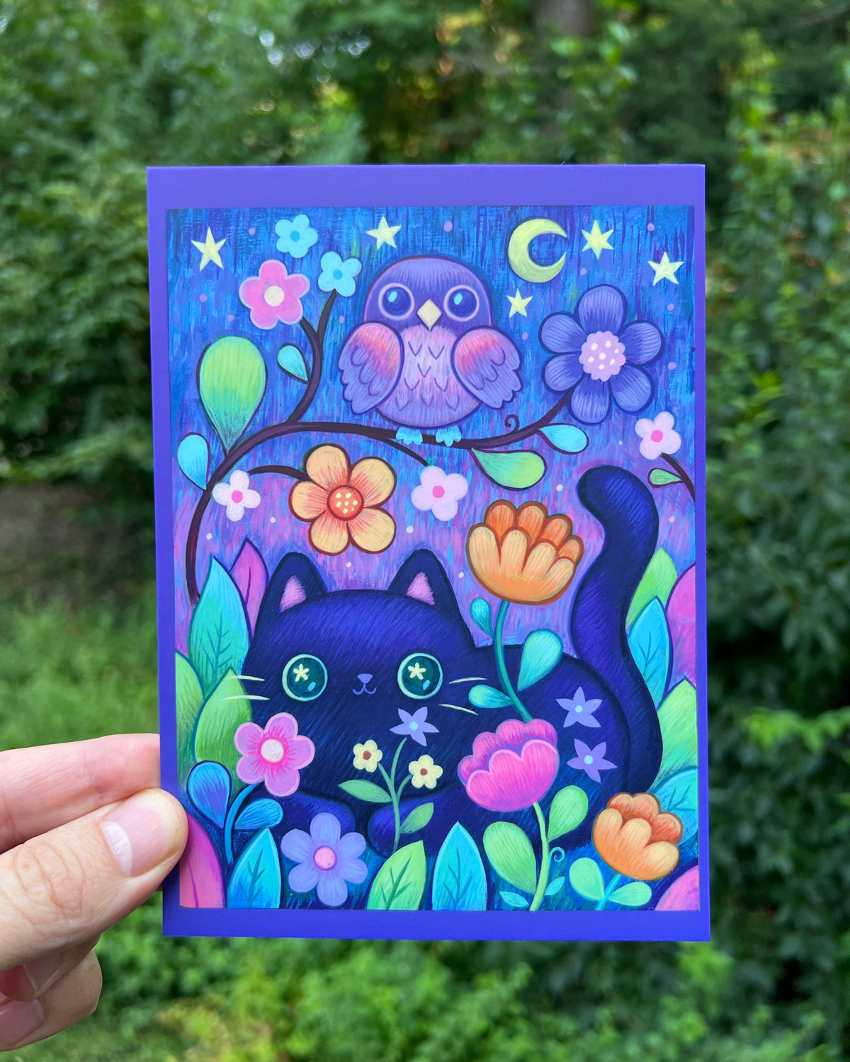 Premium Postcard Set of 10 Cards